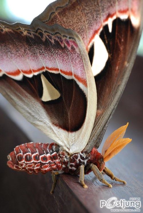 มองให้อาร์ท 47