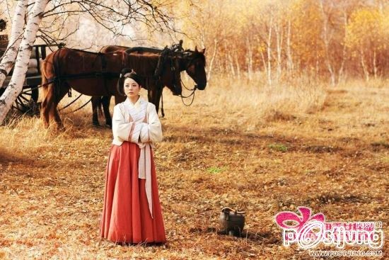 THE QIN EMPIRE 《大秦帝国》 第二部 (2012)