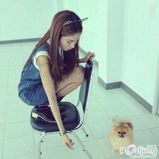 ปอย ตรีชฏา