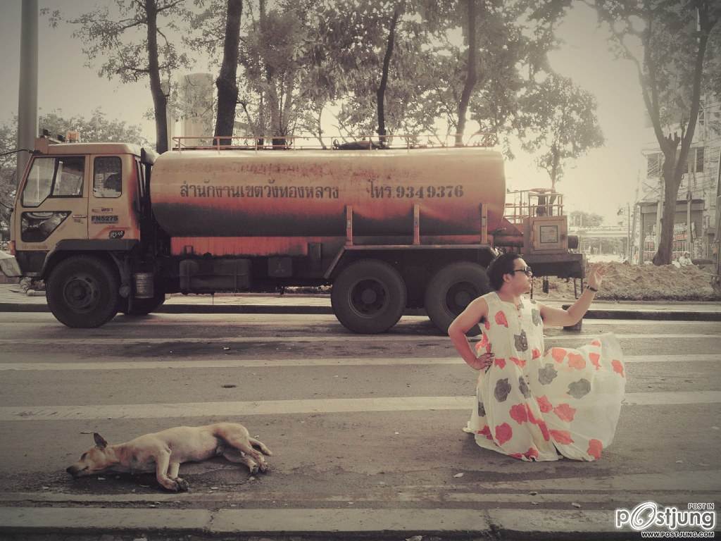 แกล้งตาย ค๊อก!!