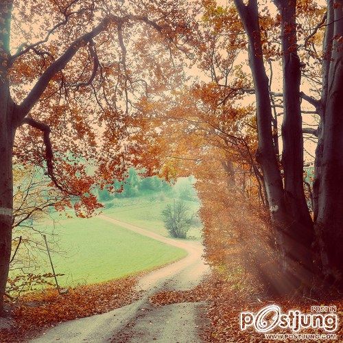 มองให้อาร์ท 49