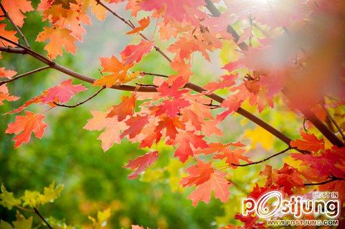 มองให้อาร์ท 49