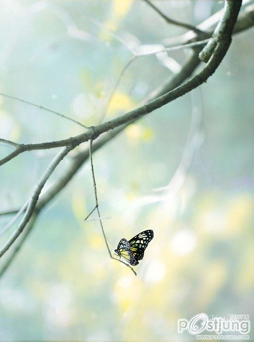 มองให้อาร์ท 49