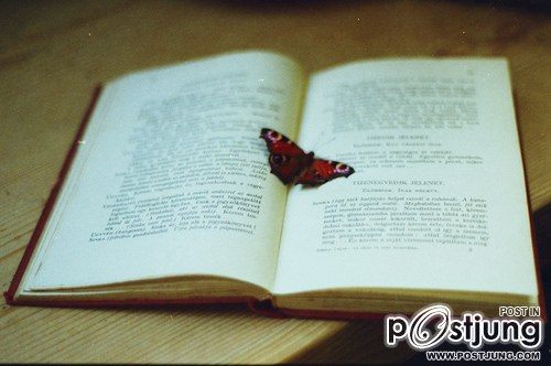 มองให้อาร์ท 49