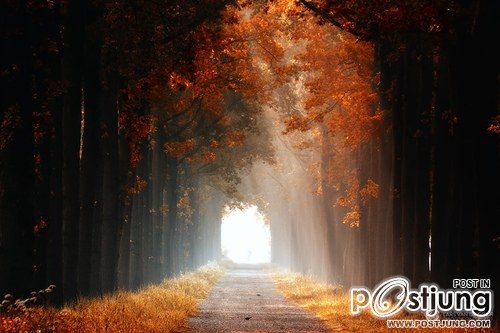 มองให้อาร์ท 49