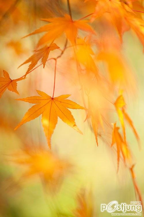 มองให้อาร์ท 49