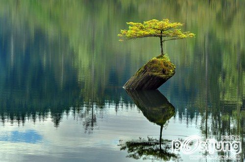 มองให้อาร์ท 49