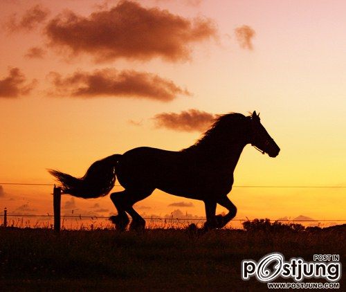 มองให้อาร์ท 49