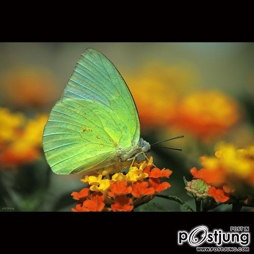 มองให้อาร์ท 49