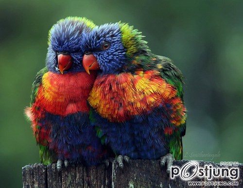 มองให้อาร์ท 49