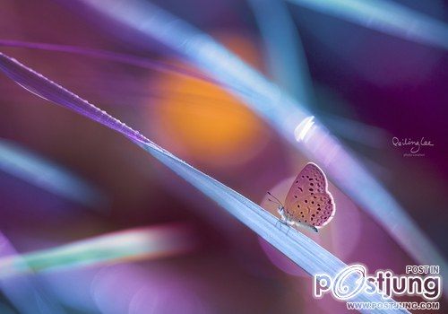 มองให้อาร์ท 49