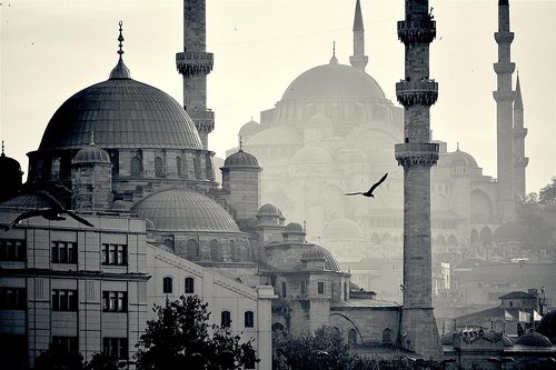 มองให้อาร์ท 50