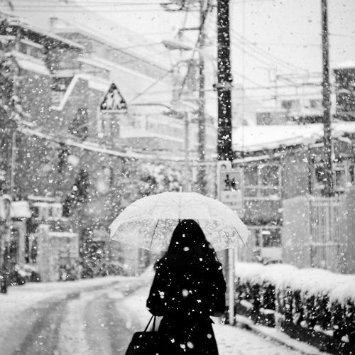 มองให้อาร์ท 50