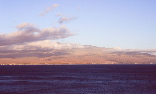 มองให้อาร์ท 50