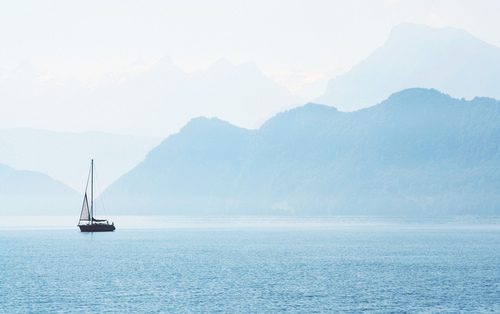 มองให้อาร์ท 50