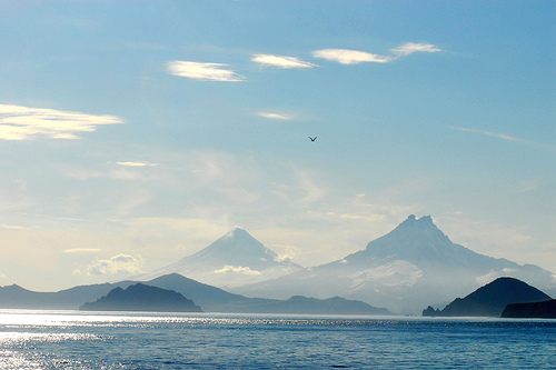 มองให้อาร์ท 50