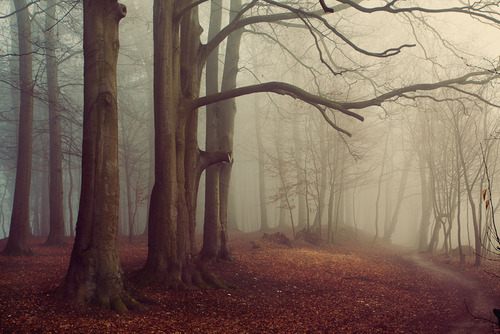 มองให้อาร์ท 50