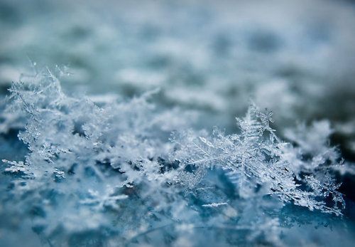 มองให้อาร์ท 50