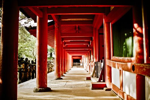 มองให้อาร์ท 50