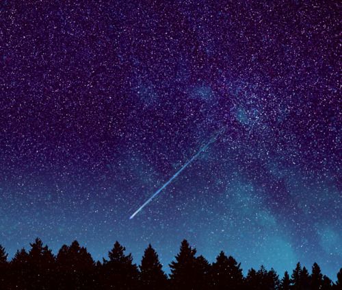 มองให้อาร์ท 50