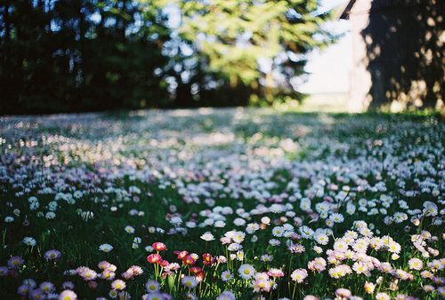 มองให้อาร์ท 50