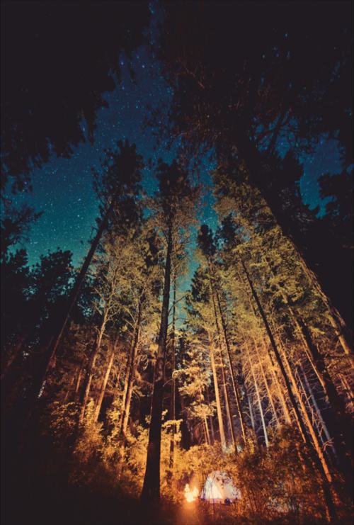 มองให้อาร์ท 50