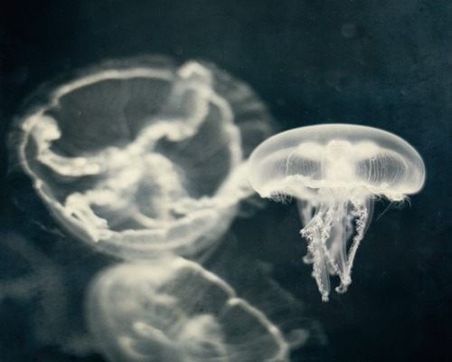 มองให้อาร์ท 50