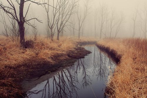 มองให้อาร์ท 50