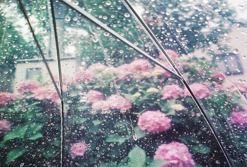 มองให้อาร์ท 50