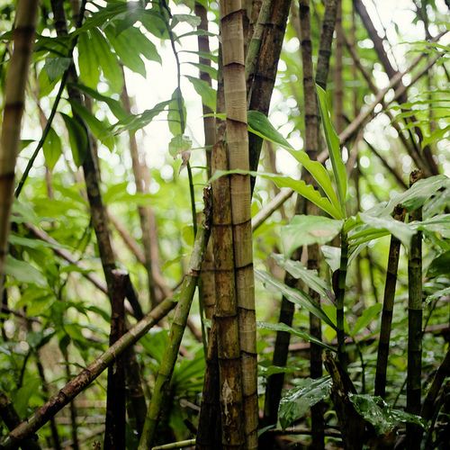 มองให้อาร์ท 51