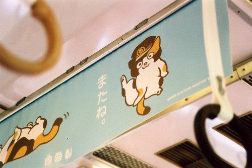 มองให้อาร์ท 51