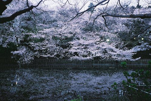 มองให้อาร์ท 51