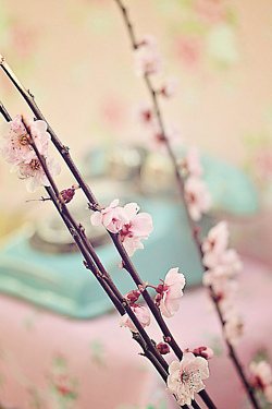 มองให้อาร์ท 51