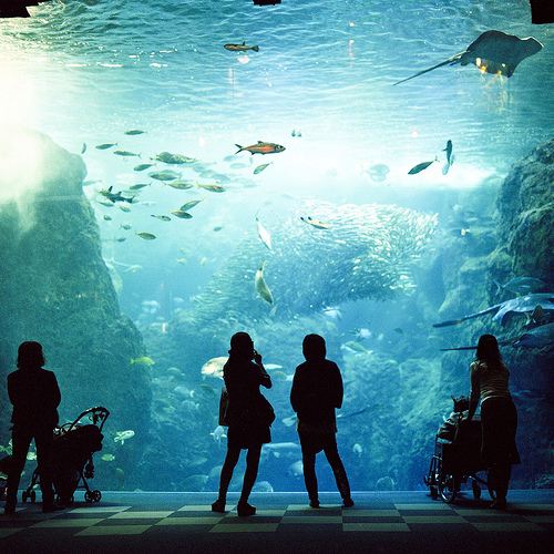 มองให้อาร์ท 51