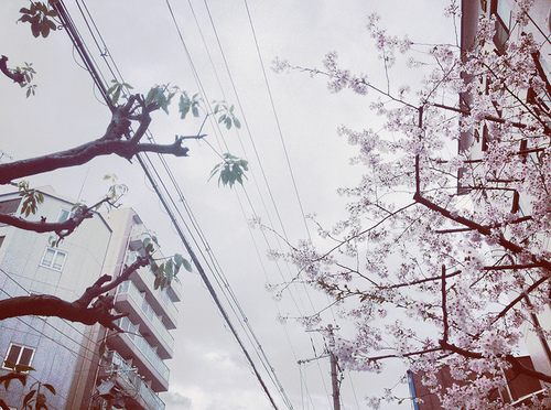 มองให้อาร์ท 51