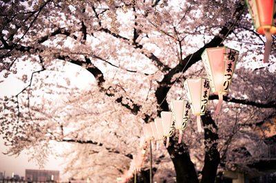 โลกนี้ช่างสวยงาม ๑๔