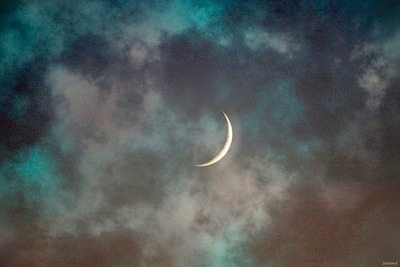 โลกนี้ช่างสวยงาม ๑๔