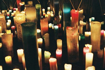 โลกนี้ช่างสวยงาม ๑๔