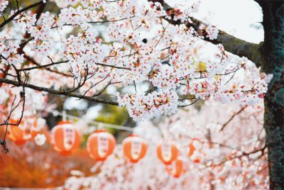 โลกนี้ช่างสวยงาม ๑๔