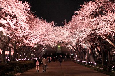 โลกนี้ช่างสวยงาม ๑๔