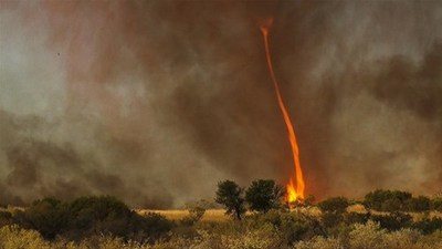 โลกนี้ช่างสวยงาม ๑๔