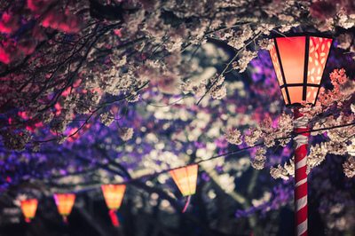 โลกนี้ช่างสวยงาม ๑๔