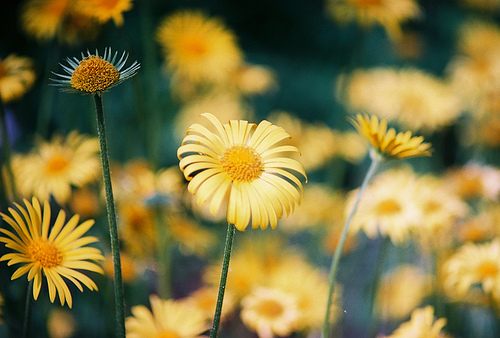 สีสันบนโลก 2