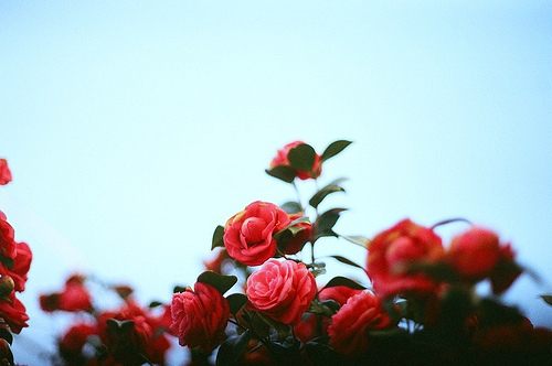 สีสันบนโลก 2