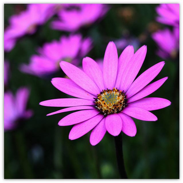 สีสันบนโลก 2