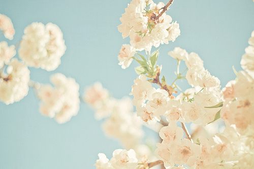 สีสันบนโลก 2