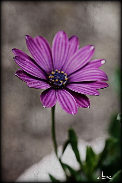 สีสันบนโลก 2