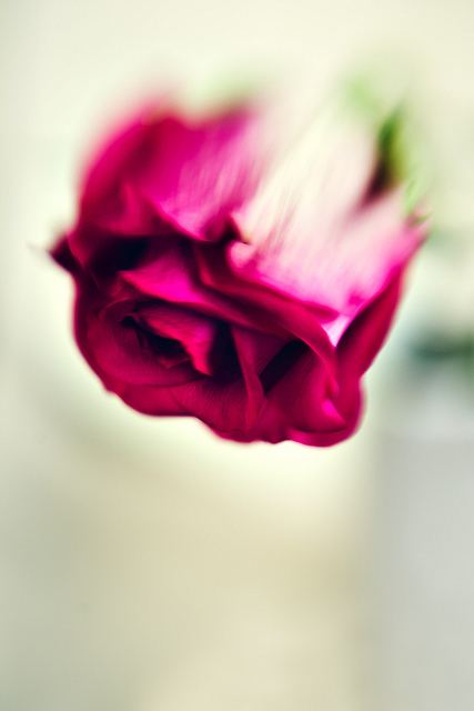 สีสันบนโลก 2