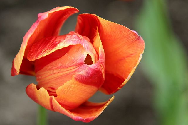 สีสันบนโลก 2