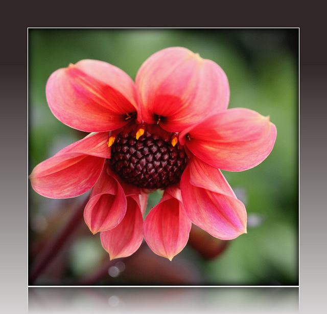 สีสันบนโลก 2